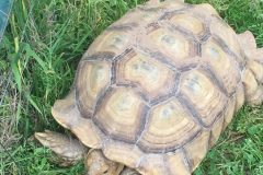 img_0747-scaled