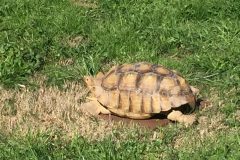 img_9828-scaled